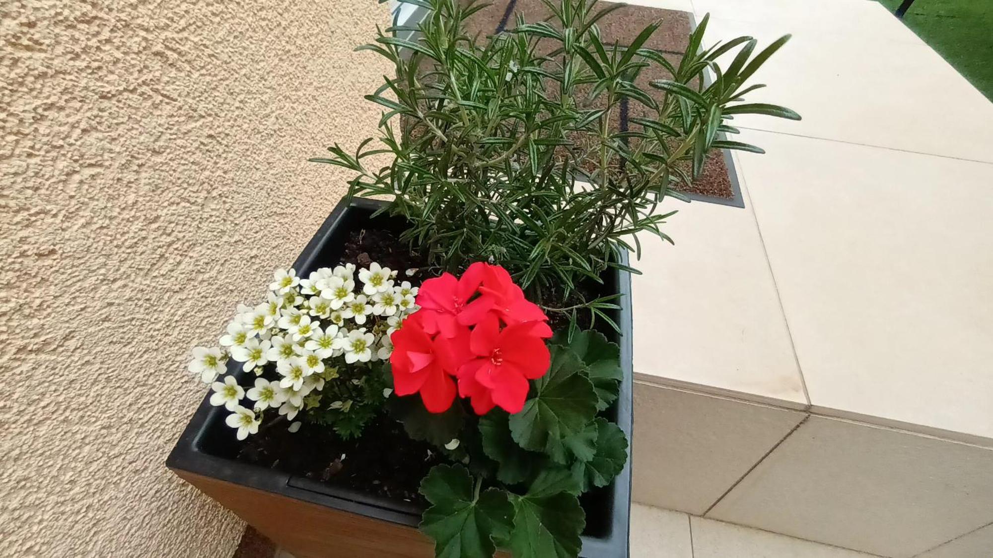 Apartman Sandra -Private Parking And Garden Задар Екстериор снимка